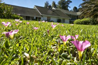 accommodation, Somerset West, Garden, Guesthouse, Guest House, Golden Hill, Golden Hill Guest House,